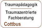 Modul 8b - Traumapädagogik / Traumafachberatung (DeGPT/FVTP)